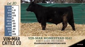 Lot #30 - VIN-MAR HOMESTEAD 9547