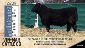 Lot #29 - VIN-MAR HOMESTEAD 9543
