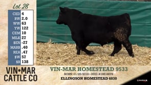 Lot #28 - VIN-MAR HOMESTEAD 9533
