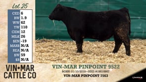 Lot #25 - VIN-MAR PINPOINT 9522