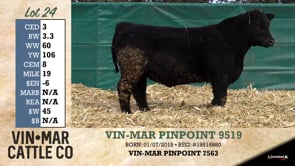 Lot #24 - VIN-MAR PINPOINT 9519