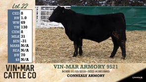 Lot #22 - VIN-MAR ARMORY 9521