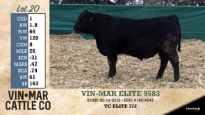 Lot #20 - VIN-MAR ELITE 9583