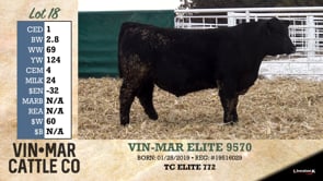 Lot #18 - VIN-MAR ELITE 9570
