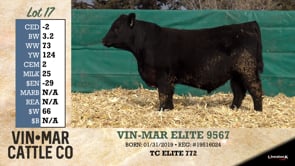 Lot #17 - VIN-MAR ELITE 9567