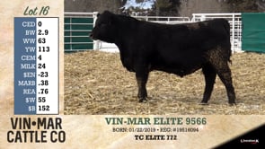 Lot #16 - VIN-MAR ELITE 9566