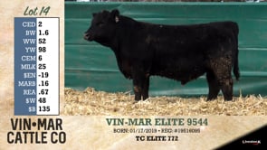 Lot #14 - VIN-MAR ELITE 9544