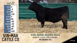 Lot #13 - VIN-MAR ELITE 9542
