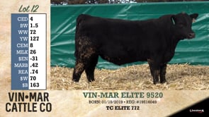 Lot #12 - VIN-MAR ELITE 9520