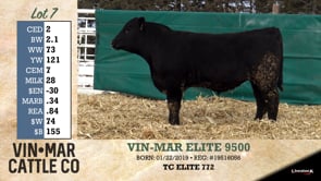 Lot #7 - VIN-MAR ELITE 9500