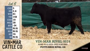 Lot #6 - VIN-MAR RIVAL 9574