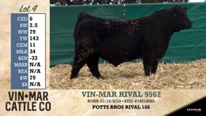 Lot #4 - VIN-MAR RIVAL 9562
