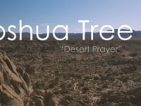 2020, "Joshua Tree: Desert Prayer"
