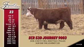 Lot #23 - ECR 53D JOURNEY 9003