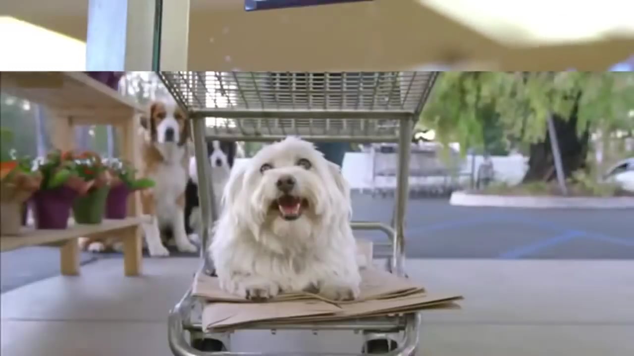 Doritos Super Bowl 50 Commercials 2016 Crash the Super Bowl Ads