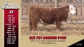 Lot #37 - ECR 721 DOMINO 9100