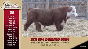 Lot #38 - ECR 394 DOMINO 9204