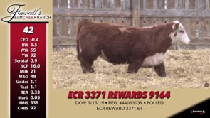 Lot #42 - ECR 3371 REWARDS 9164