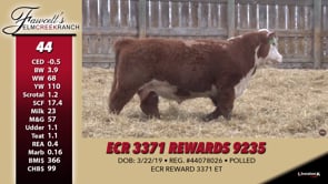 Lot #44 - ECR 3371 REWARDS 9235