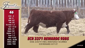 Lot #46 - ECR 3371 REWARDS 9285