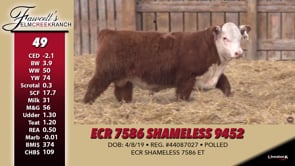 Lot #49 - ECR 7586 SHAMELESS 9452