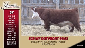 Lot #57 - ECR WF OUT FROUNT 9062