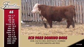Lot #65 - ECR 9022 DOMINO 8405