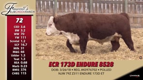 Lot #72 - ECR 173D ENDURE 8528