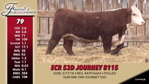 Lot #79 - ECR 53D JOURNEY 8115