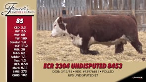 Lot #85 - ECR 3304 UNDISPUTED 8453