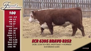 Lot #100 - ECR 6305 BRAVO 8252