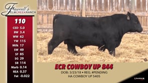 Lot #110 - ECR COWBOY UP 844