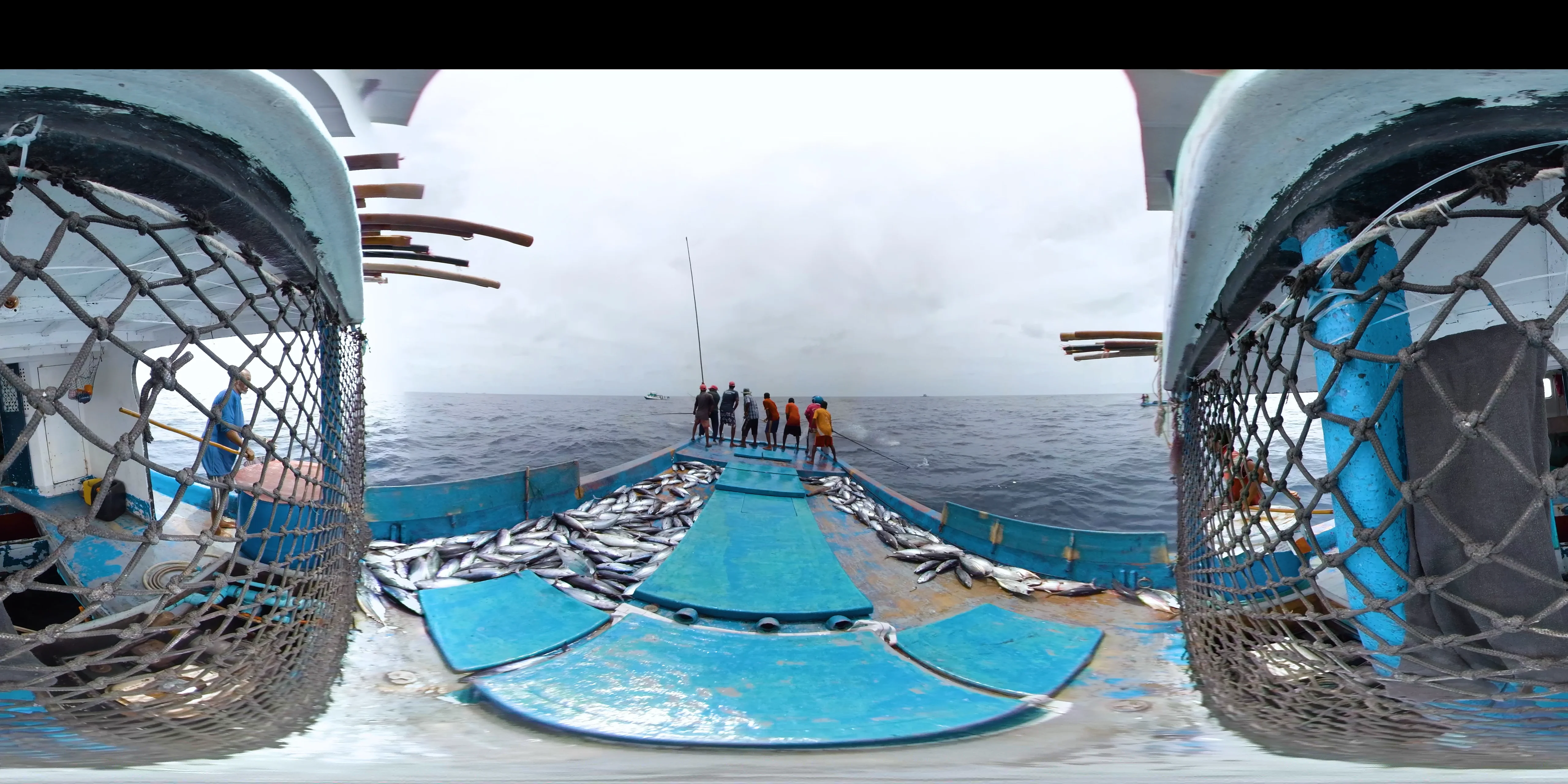 Maldives Pole and Line Tuna Fishing on Vimeo