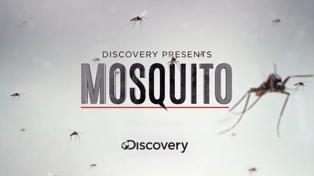 Mosquito - Trailer