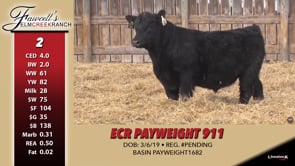 Lot #2 - ECR PAYWEIGHT 911