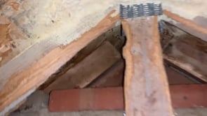 Thumbnail of video titled: Foam insulation doesn't stop squirrels.