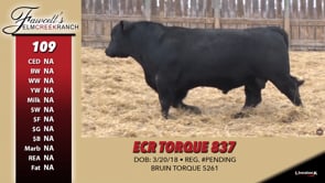 Lot #109 - ECR TORQUE 837
