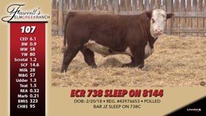 Lot #107 - ECR 738 SLEEP ON 8144