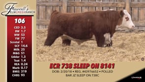 Lot #106 - ECR 738 SLEEP ON 8441
