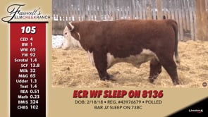 Lot #105 - ECR WF SLEEP ON 8136