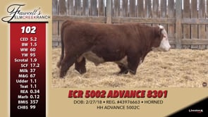 Lot #102 - ECR 5002 ADVANCE 8301