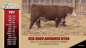 Lot #101 - ECR 2029 ADVANCE 8156