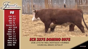 Lot #98 - ECR 3275 DOMINO 8075