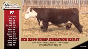 Lot #97 - ECR 2296 TOBEY SENSATION 823 ET