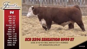 Lot #94 - ECR 2296 SENSATION 8999 ET