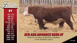 Lot #91 - ECR 628 ADVANCE 8580