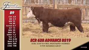 Lot #89 - ECR 628 ADVANCE 8519