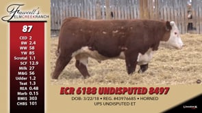 Lot #87 - ECR 6188 UNDISPUTED 8497