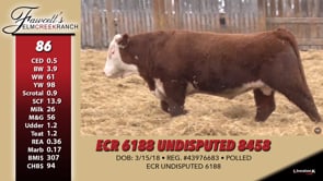 Lot #86 - ECR 6188 UNDISPUTED 8458