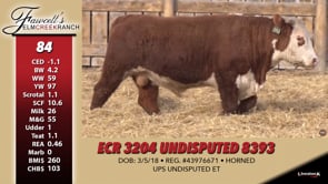 Lot #84 - ECR 3204 UNDISPUTED 8393